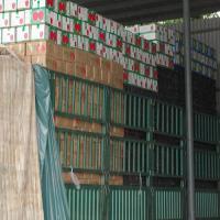 蔬菜收购与边贸出口 农副产品加工的发展机遇