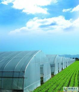 现代农业设施与设备 大棚、温室及喷灌系统全面解析