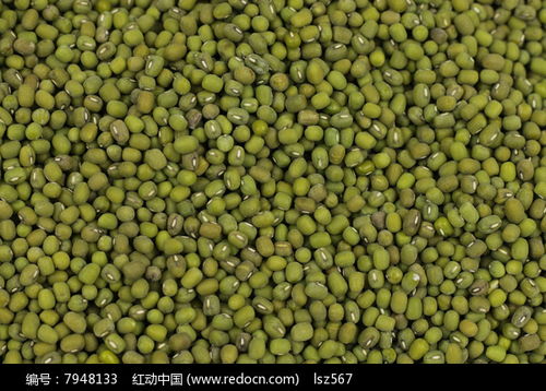 农副产品绿豆高清图片下载与红动网食品销售