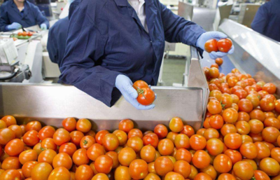 从田间到餐桌 农副食品加工业的内涵、现状与未来展望