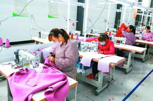 丹阳联村党委实践 围绕主导产业发展集体经济，提升农副产品竞争力