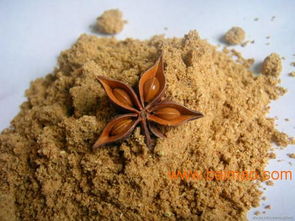 顶能食品 优质八角粉调味香辛料的生产与价格解析